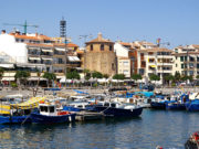 Rambla 54 | Els dofins, un problema creixent per als pescadors de Cambrils