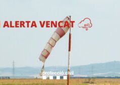 El temporal de vent sacseja el Baix Camp amb ratxes de més de 70 km/h