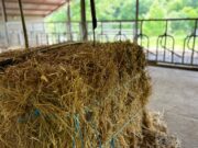 Unió de Pagesos alerta d’un bloqueig de les exportacions de farratges per la guerra a l’Orient Mitjà