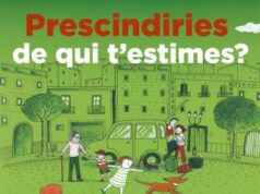 L’Ajuntament de Reus alerta de l’increment de l’abandonament de gats i recorda les sancions