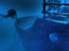 La Dragonera, un món submarí davant de Tarragona