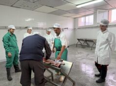 Carrer Major | Els pastors del Camp de Tarragona reivindiquen els petits escorxadors